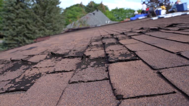 Best Asphalt Shingle Roofing  in Hawthorne, NY